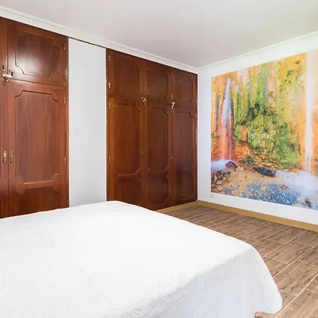 Apartment Lapahi